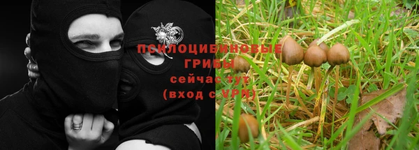 бутик Зеленокумск