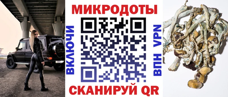 Псилоцибиновые грибы Psilocybine cubensis  это наркотические препараты  Инсар 